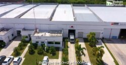 Bodega CRIT 15 de 550 m² – Con oficinas