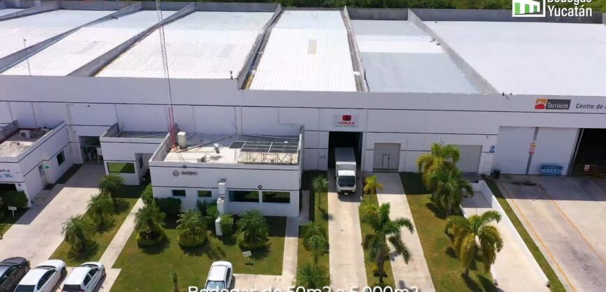 Bodega CRIT 15 de 550 m² – Con oficinas
