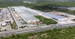 Bodega Panamericana 15 de 655 m² – Con oficinas