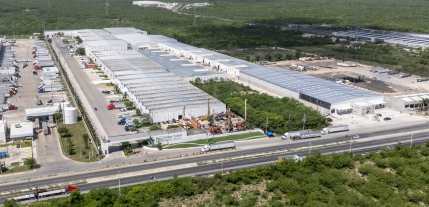Bodega Panamericana 15 de 655 m² – Con oficinas