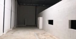Bodega Panamericana 2 de 796 m² – Con oficinas