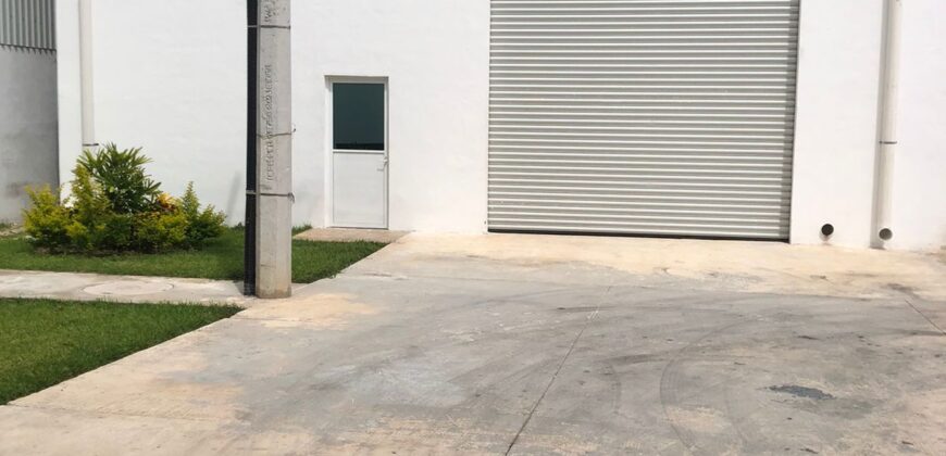 Bodega Panamericana 1A de 364 m²