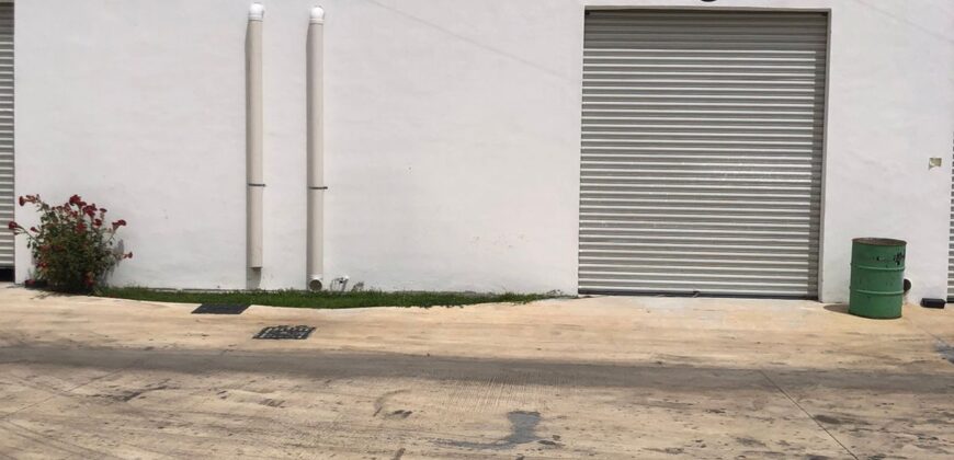 Bodega Panamericana 4A de 254 m²