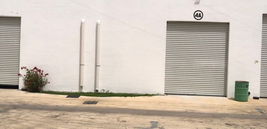 Bodega Panamericana 4A de 254 m²