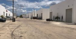 Bodega Panamericana 10A de 266 m²