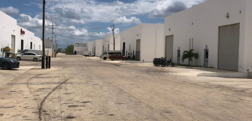 Bodega Panamericana 10A de 266 m²