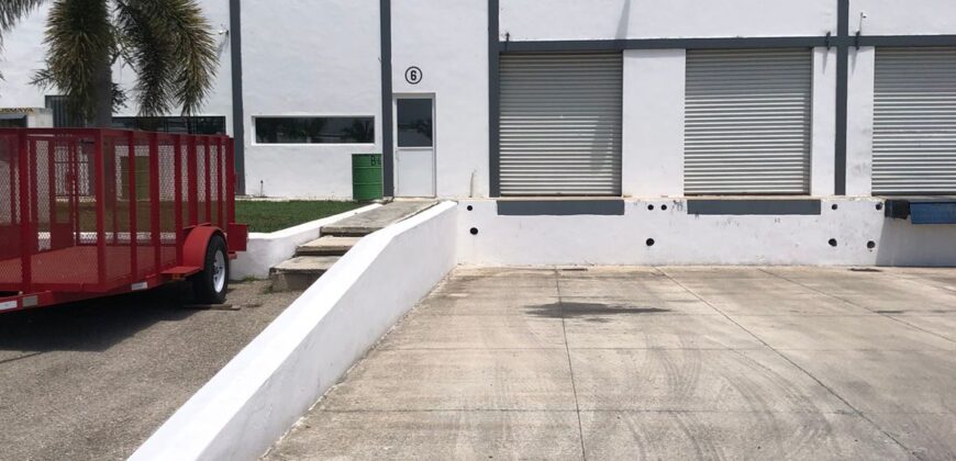 Bodega Panamericana 6 de 780 m² – Con oficinas