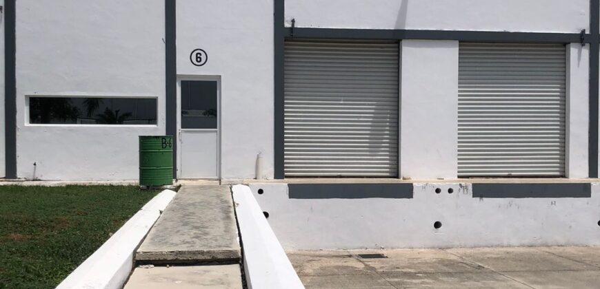Bodega Panamericana 6 de 780 m² – Con oficinas