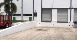 Bodega Panamericana 6 de 780 m² – Con oficinas