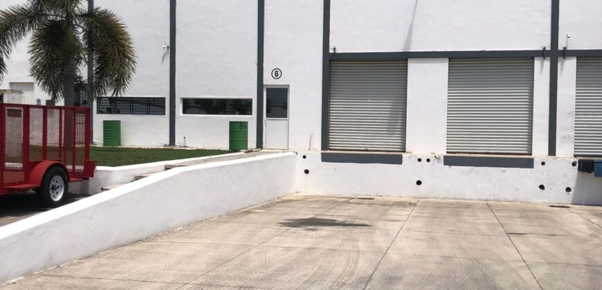 Bodega Panamericana 6 de 780 m² – Con oficinas