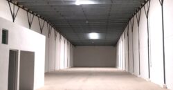 Bodega Panamericana 6 de 780 m² – Con oficinas