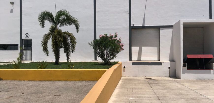 Bodega Panamericana 10 de 1,290 m² – Con oficinas
