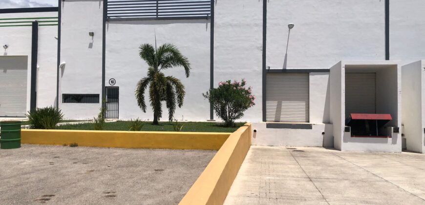 Bodega Panamericana 10 de 1,290 m² – Con oficinas