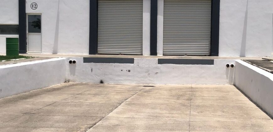 Bodega Panamericana 11 de 650 m² – Con oficinas