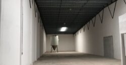 Bodega Panamericana 11 de 650 m² – Con oficinas