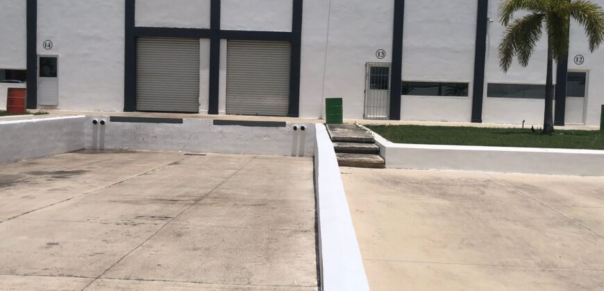 Bodega Panamericana 13 de 650 m² – Con oficinas