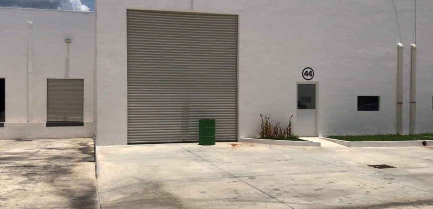 Bodega Panamericana 44 de 640 m² – Con oficinas