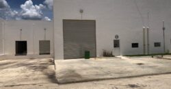 Bodega Panamericana 44 de 640 m² – Con oficinas