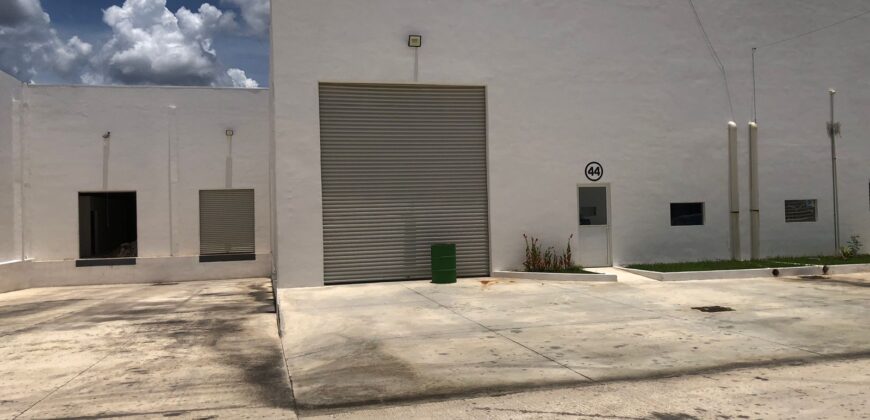 Bodega Panamericana 44 de 640 m² – Con oficinas