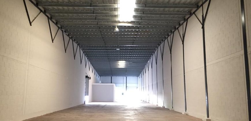 Bodega Panamericana 13 de 650 m² – Con oficinas